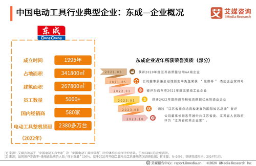 2023年中國電動工具行業(yè)發(fā)展白皮書 旅游開發(fā)項目策劃咨詢視角